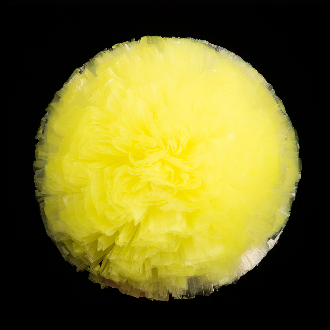 Amarillo neón (01)